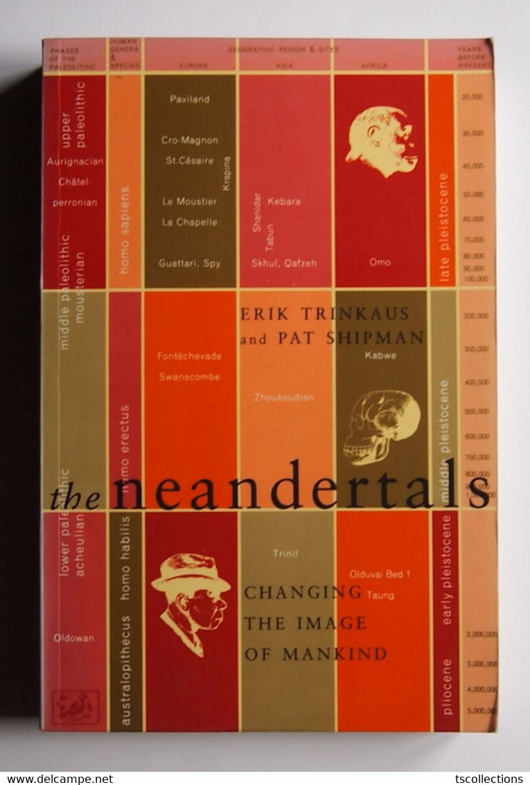 Neandertals Changing The Image Of Mankind - Paleontologie
