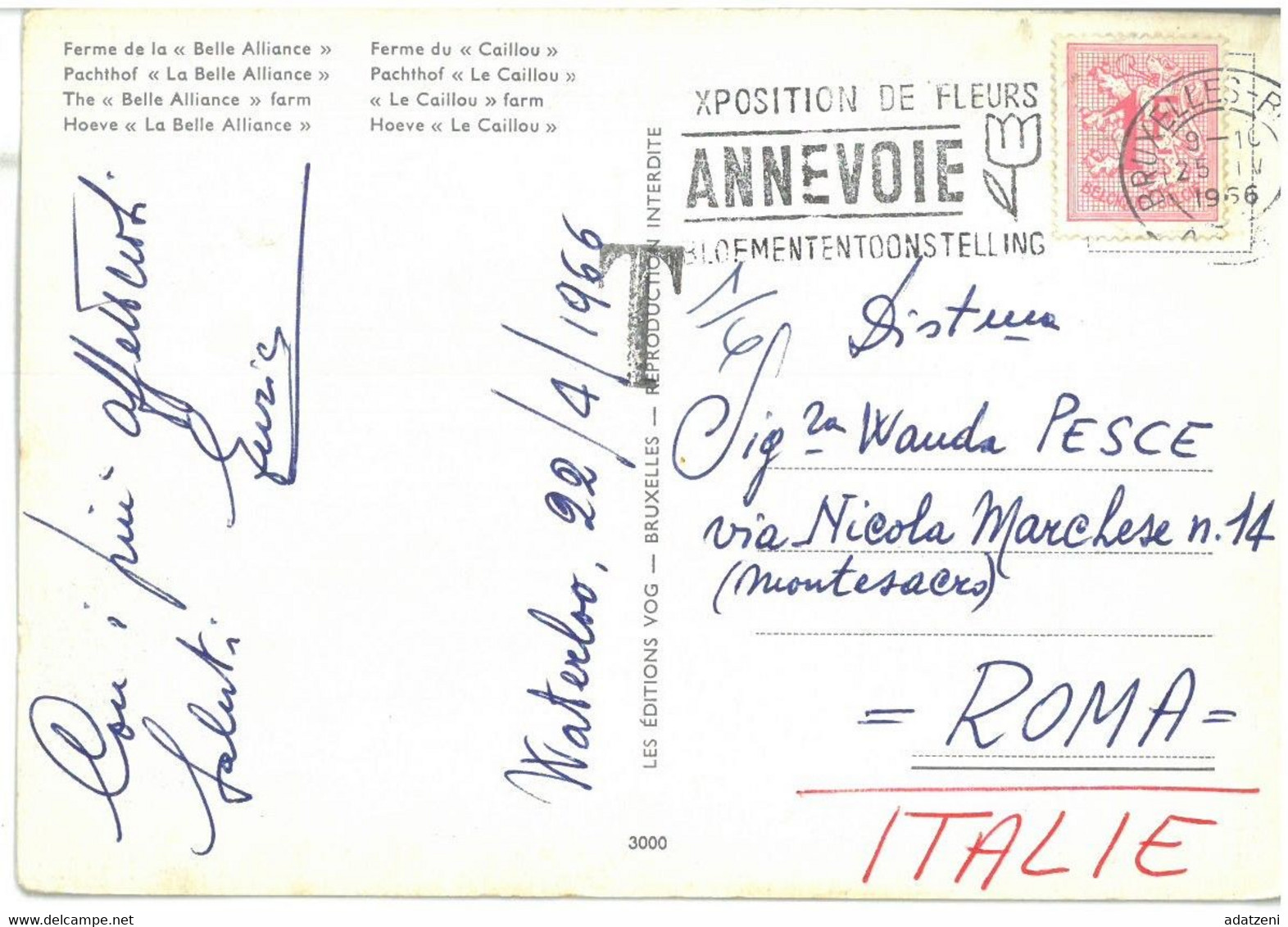 BR3436 Belgio Souvenir De Waterloo Viaggiata 1966 Verso Roma - Waterloo