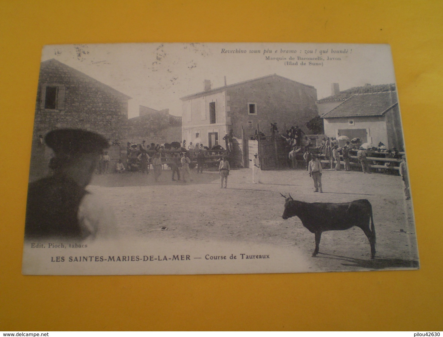 Les Saintes Maries De La Mer, Course De Taureaux , 1913 - Taureaux