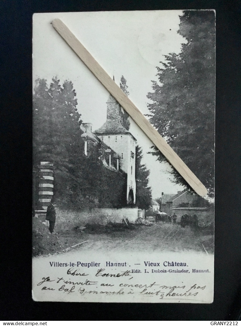 VILLERS -LE - PEUPLIER   HANNUT «  VIEUX CHÂTEAU 1903 «  PANORAMA,ANIMATION,ATELLAGES - Hannut
