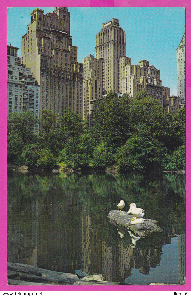 289151 / United States - New York City - Central Park Looking South Across Skyscrapers That Rim Park An All Sides Ducks - Parken & Tuinen