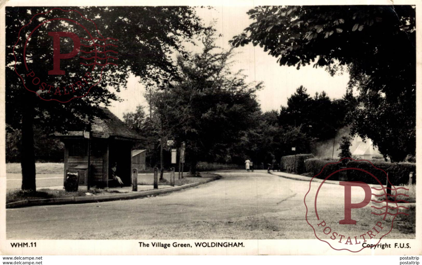 RPPC THE VILLAGE GREEN WOLDINGHAM - Surrey