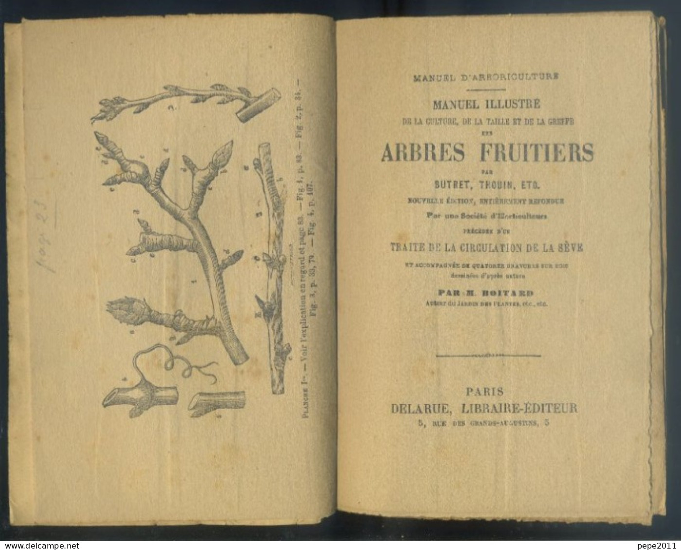 Taille Des Arbres Fruitiers, Précédée D'un Traité De La Circulation De La Sève, Par BUTRET THOUIN Et BOITARD - 1924 - Jardinage