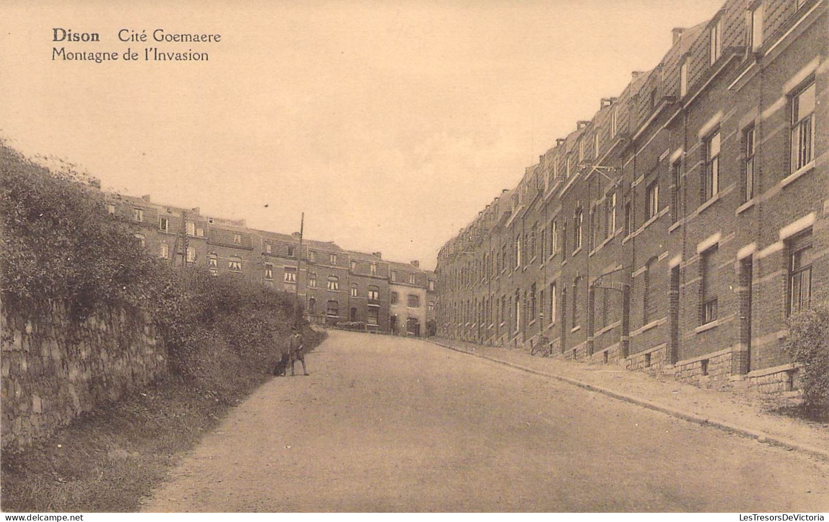 Belgique - Dison - Cité Goemaere - Montagne De L'invasion - Phot Hayet Faymonville - Carte Postale Ancienne - Dison