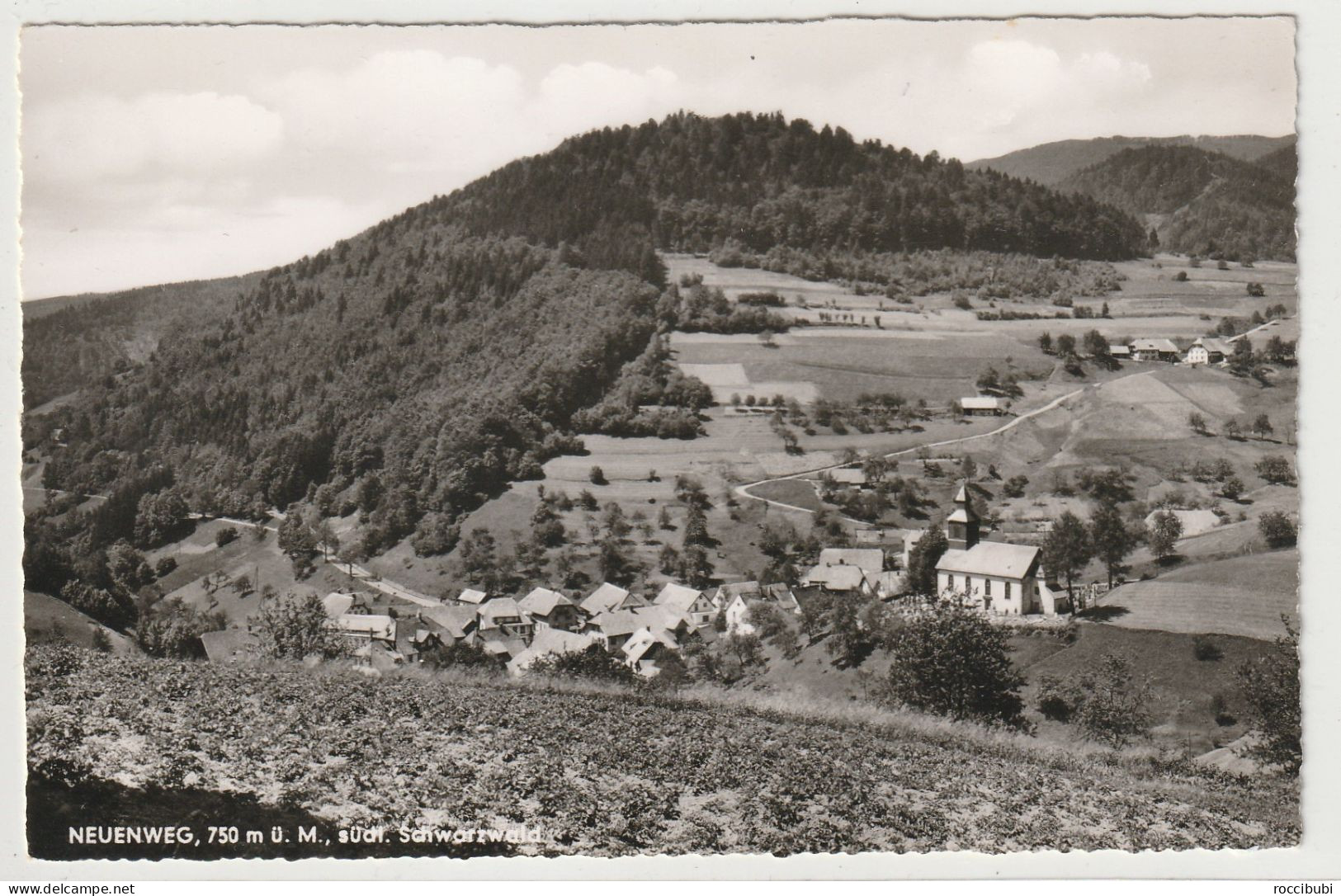 Neuenweg Am Belchen, Schwarzwald, Baden-Württemberg - Hochschwarzwald