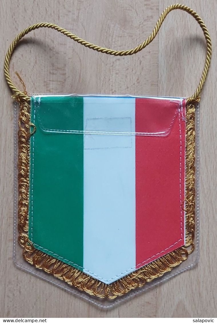 Italy Italian Handball Federation, Federazione Italiana Giuoco Handball  PENNANT, SPORTS FLAG ZS 4/1 - Palla A Mano