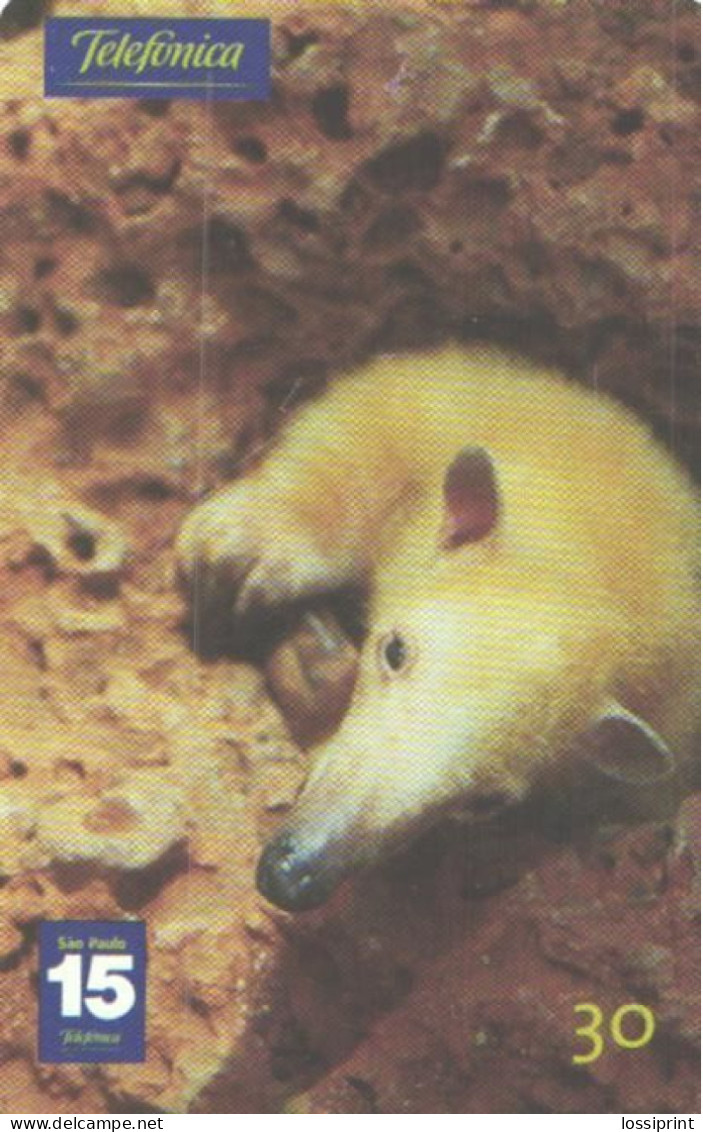 Brazil:Brasil:Used Phonecard, Telefonica, 30 Units, Animal, Rodent, 2001 - Brasilien