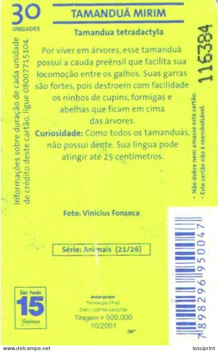 Brazil:Brasil:Used Phonecard, Telefonica, 30 Units, Animal, Rodent, 2001 - Brasilien