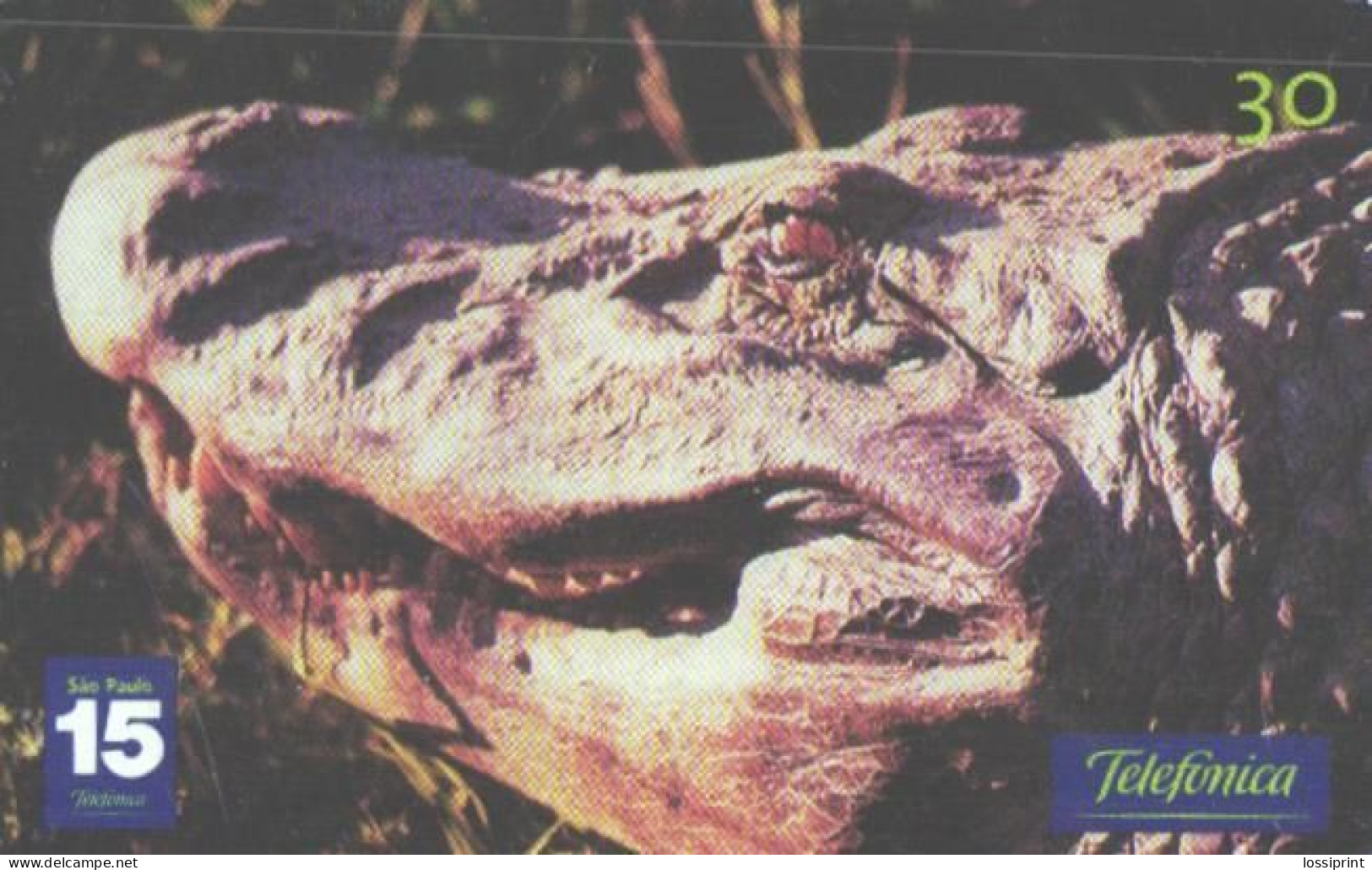 Brazil:Brasil:Used Phonecard, Telefonica, 30 Units, Alligator, Melanosuchus Niger, 2001 - Brasilien