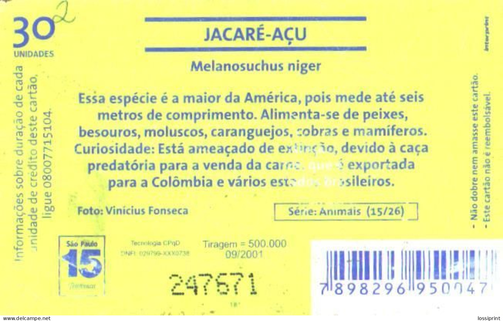 Brazil:Brasil:Used Phonecard, Telefonica, 30 Units, Alligator, Melanosuchus Niger, 2001 - Brasilien