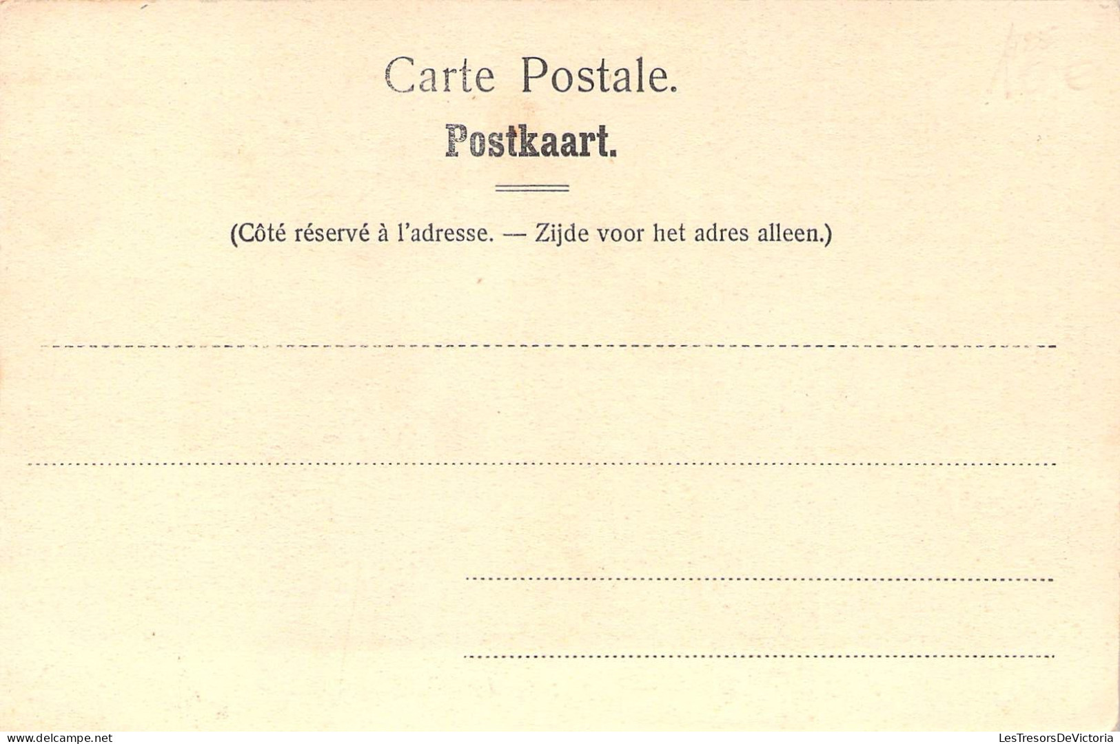 Belgique - Dave - Parc Du Château - Edit. Nels - Etang ?  - Carte Postale Ancienne - Namur