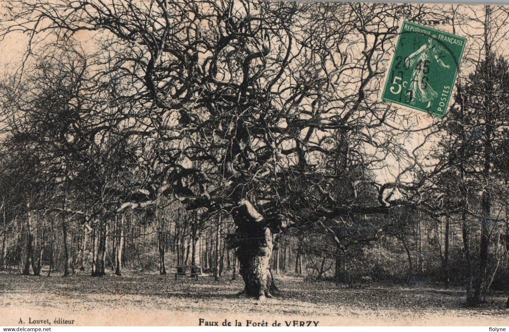 Verzy - Faux De La Forêt De Verzy - Arbre - Verzy