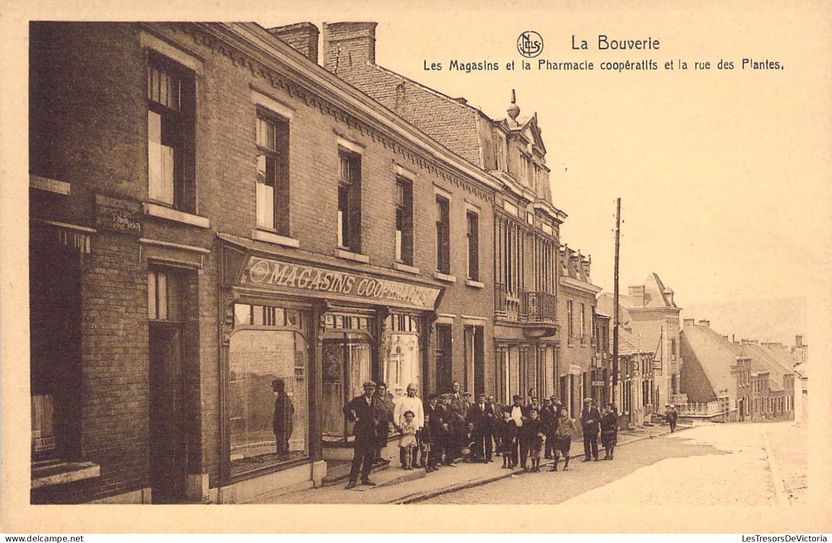 Belgique - La Bouverie - Les Magasins Et La Pharmacie Coopératifs Et La Rue Des Plantes - Nels - Carte Postale Ancienne - Frameries