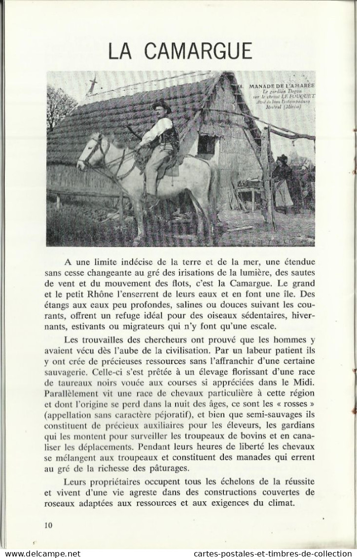 LE CARTOPHILE N°60 , Mars 1981 , LES ACCIDENTS DE LA COURSE PARIS-MADRID (1903) , LA CAMARGUE , Etc... - French