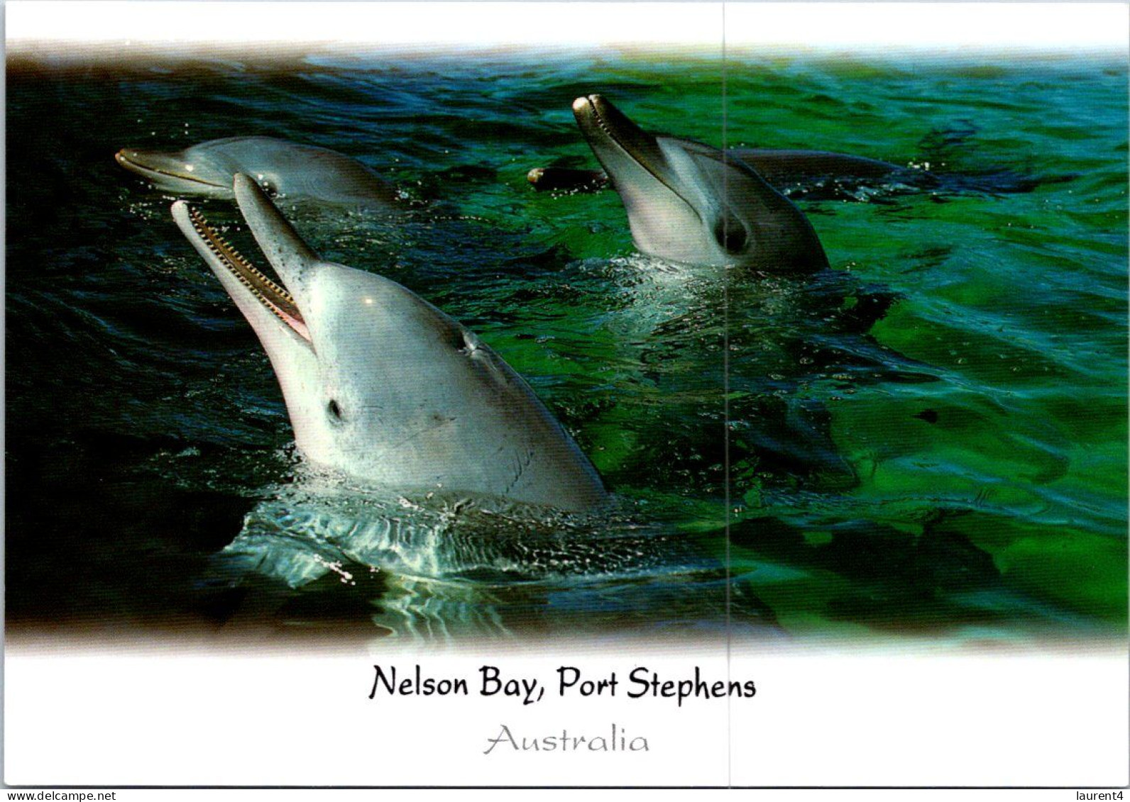 (2 P 30) Australia - Nelson Bay & Port Stephens (Dolphins) - Dauphins