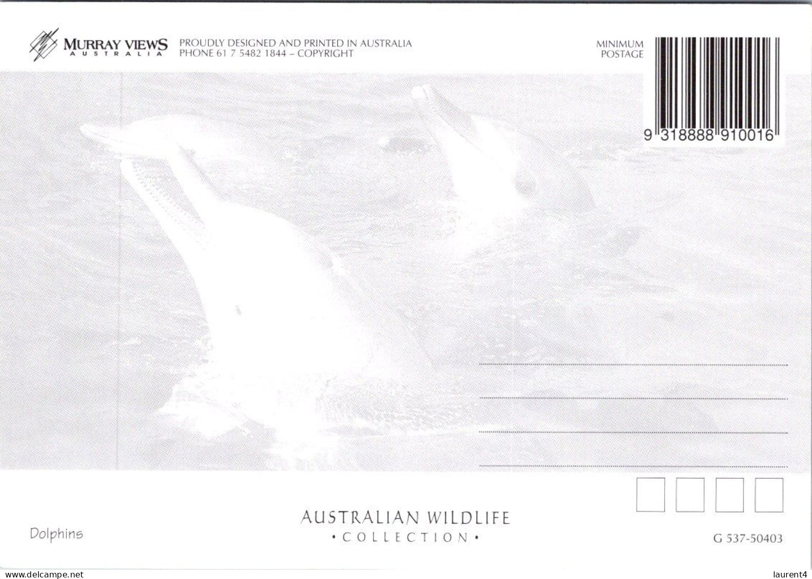 (2 P 30) Australia - Nelson Bay & Port Stephens (Dolphins) - Dauphins