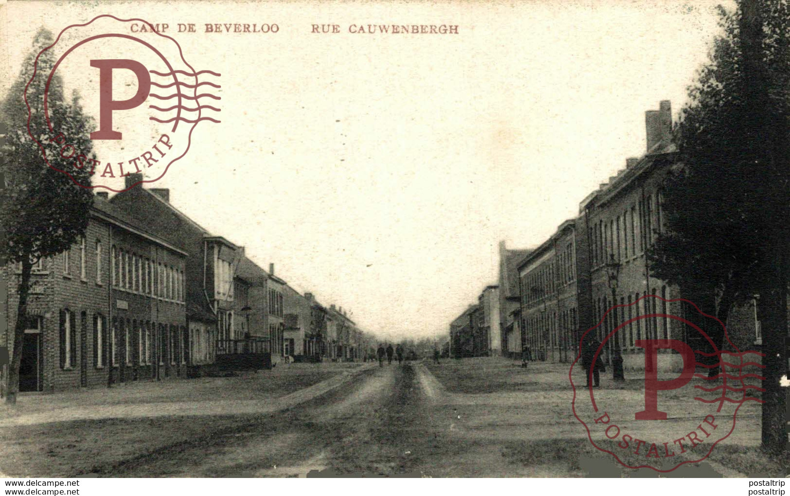 RUE CAUWENBERGH LEOPOLDSBURG BOURG LEOPOLD Camp De BEVERLOO KAMP WWICOLLECTION - Leopoldsburg (Camp De Beverloo)