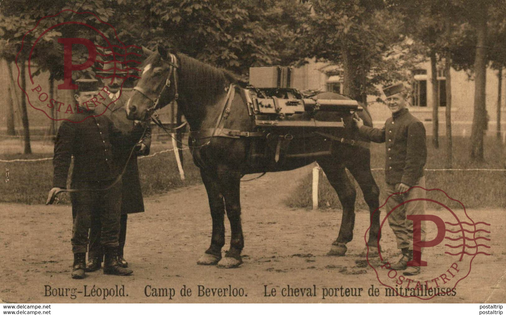 Le Cheval Porteur De Mitrailleuses LEOPOLDSBURG BOURG LEOPOLD Camp De BEVERLOO KAMP WWICOLLECTION - Leopoldsburg (Camp De Beverloo)