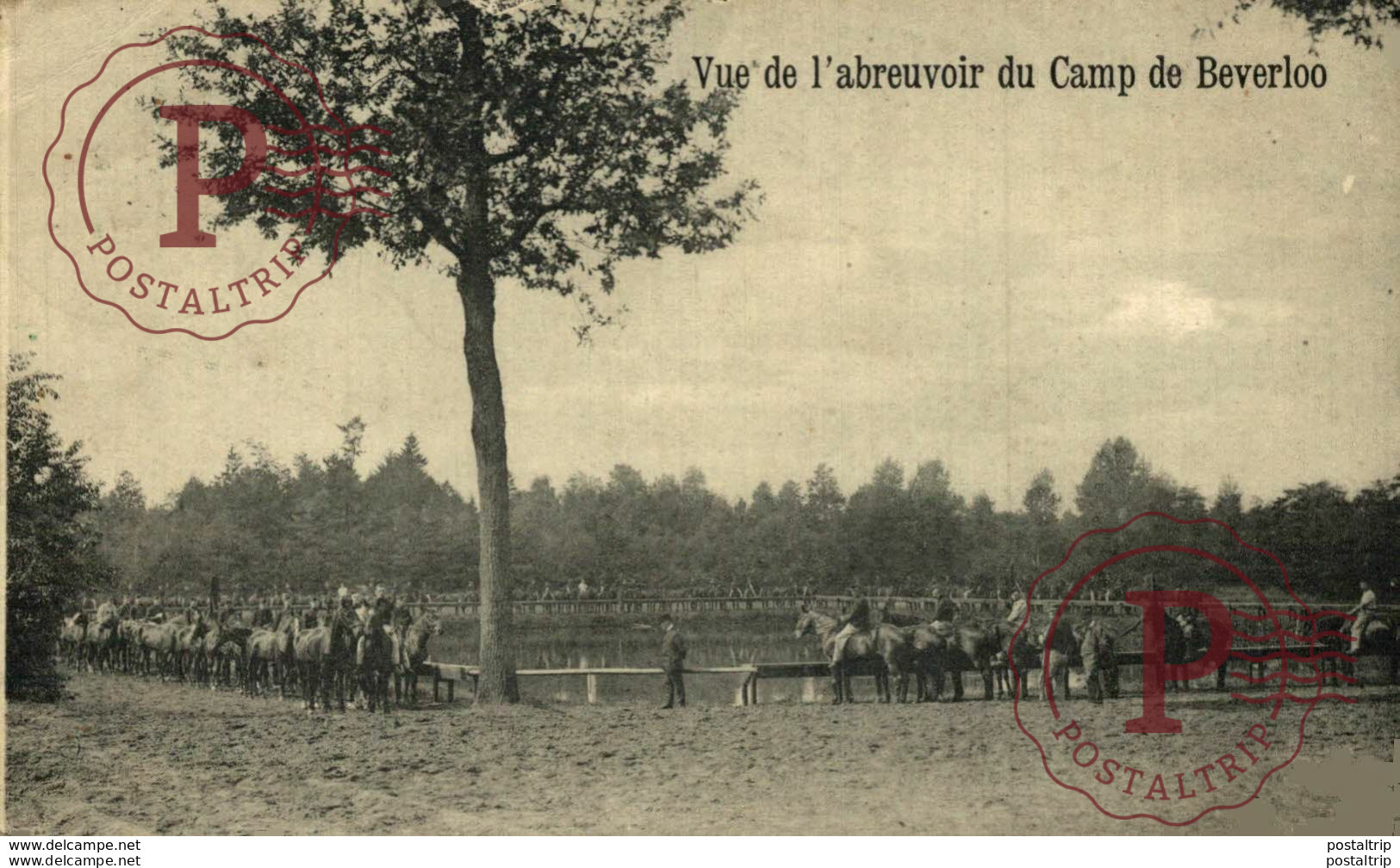 VUE DE L'ABREUVOIR  LEOPOLDSBURG BOURG LEOPOLD Camp De BEVERLOO KAMP WWICOLLECTION - Leopoldsburg (Camp De Beverloo)