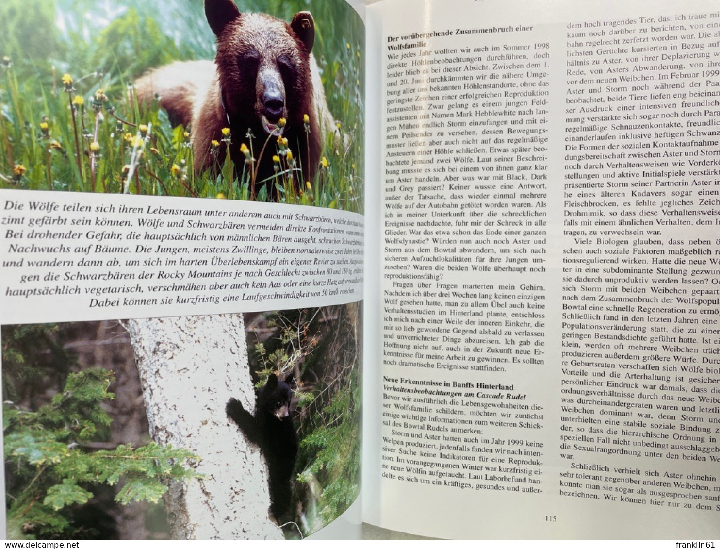 Timberwolf Yukon & Co : 11 Jahre Verhaltensbeobachtungen an Wölfen in freier Wildbahn.