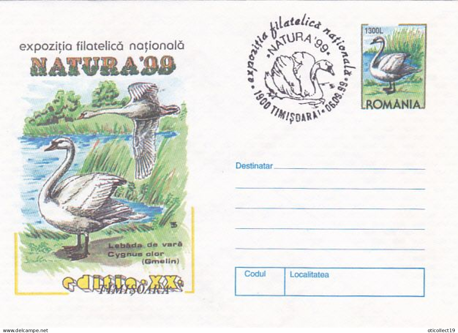 ANIMALS, BIRDS, MUTE SWAN, COVER STATIONERY, 1999, ROMANIA - Cisnes