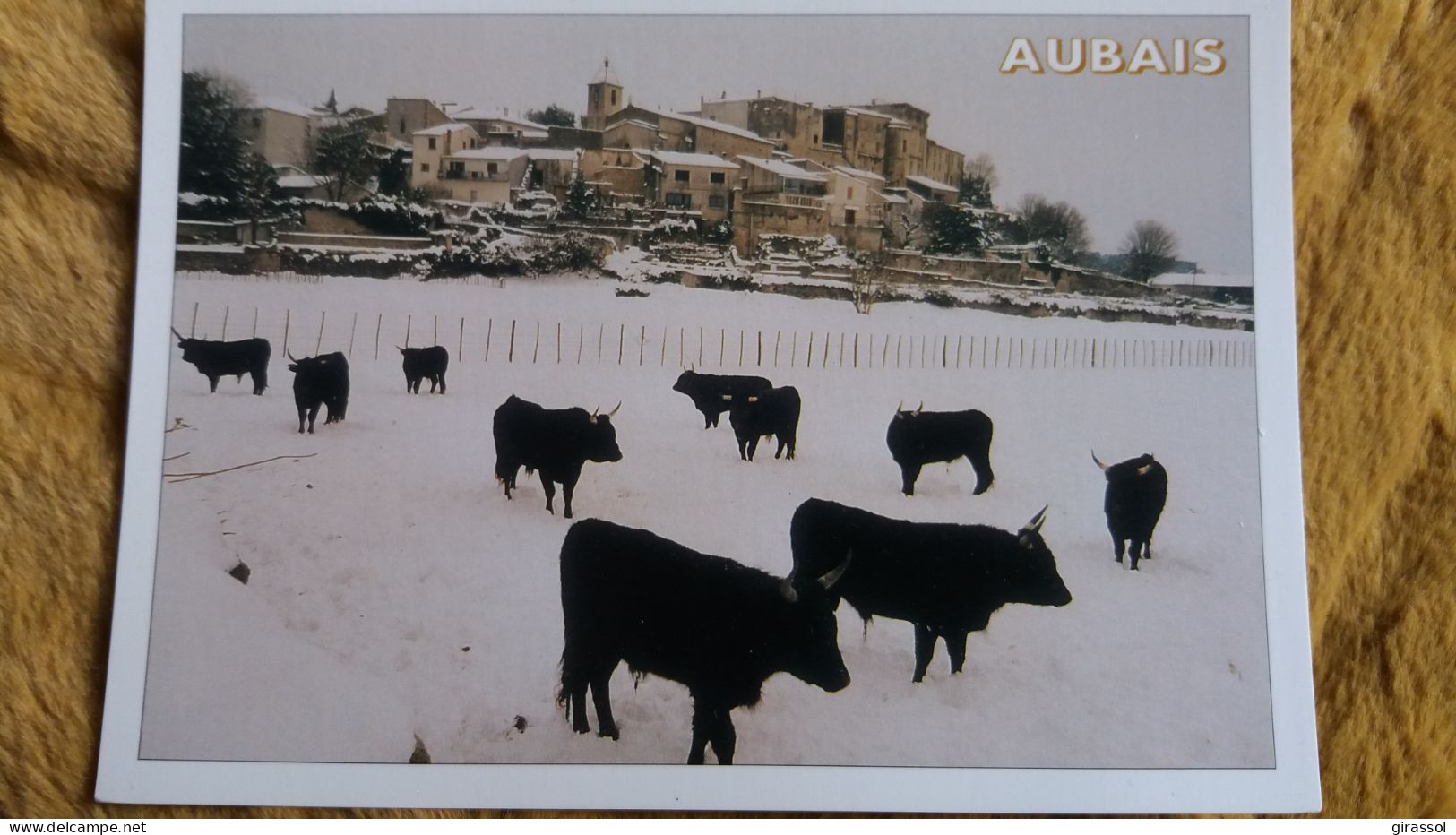 CPM TORO TAUREAU AUBAIS GARD REFLETS DU VILLAGE EN HIVER ED FLORIAN CANO - Tauri