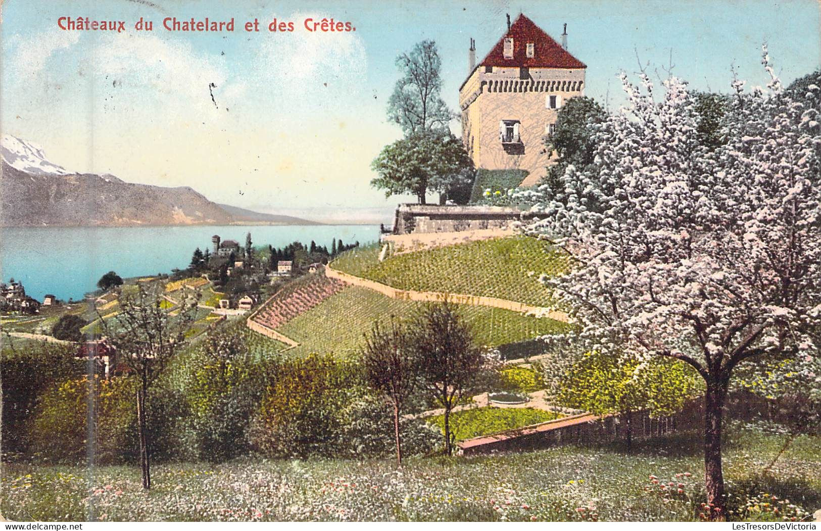 SUISSE - Chateaux Du Chatelard Et Des Crêtes - Carte Postale Ancienne - Le Crêt