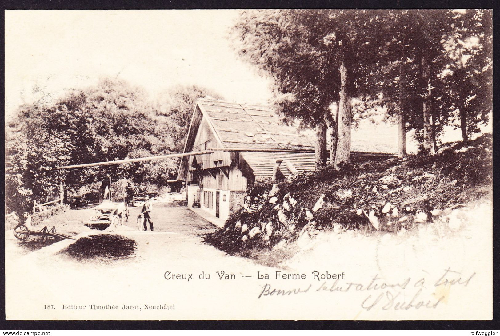1902 Aus Noiraigue Gelaufene AK: Creux Du Van, Ferme La Robert. Mit Privatstempel. - Noiraigue 