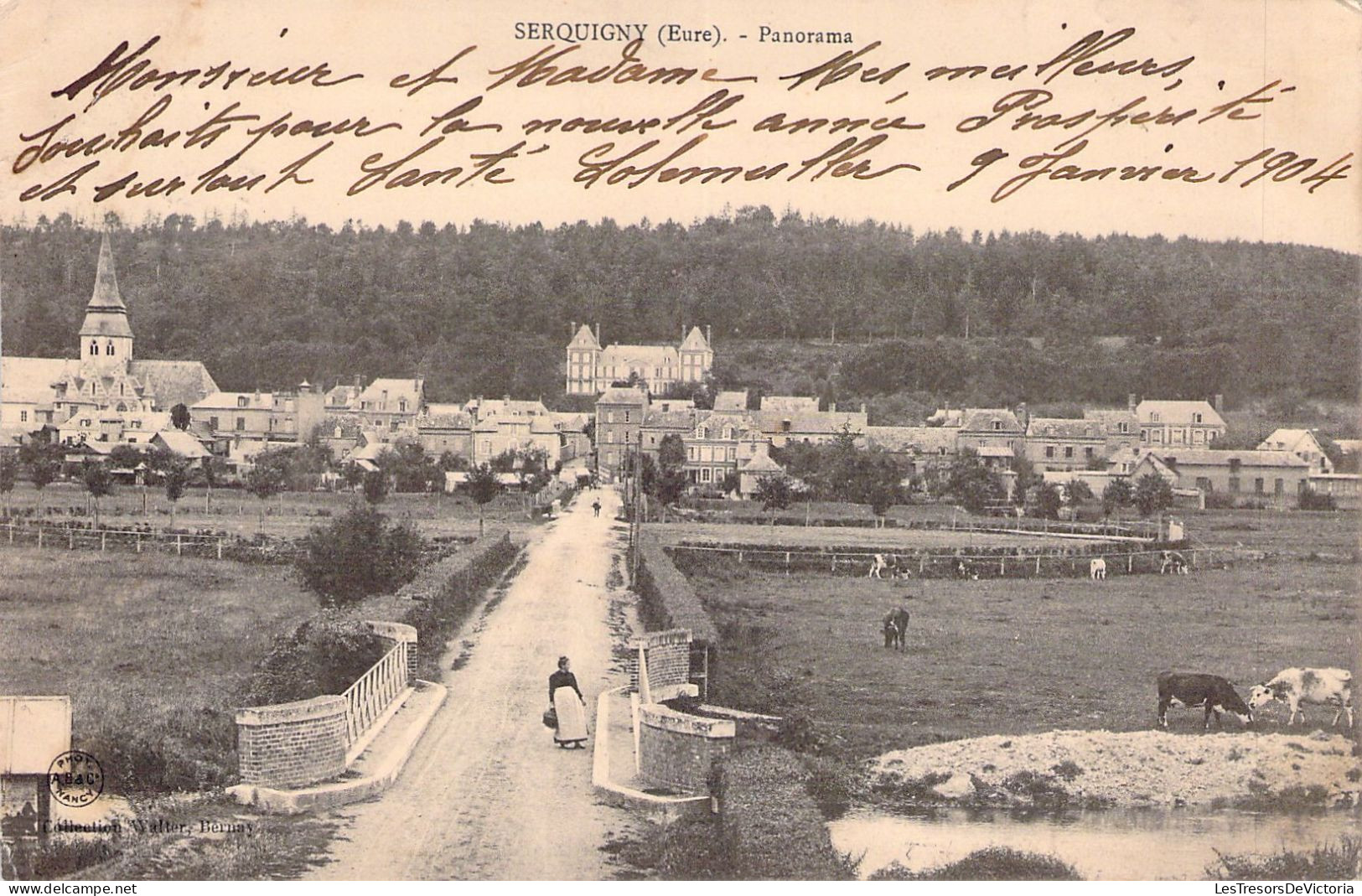 FRANCE - 27 - SERQUIGNY - Panorama - Carte Postale Ancienne - Serquigny