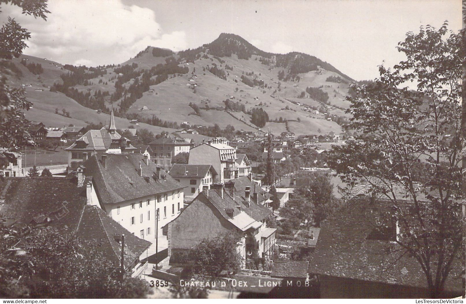 SUISSE - Château D'Oex - Ligne MOB - Carte Postale Ancienne - Au