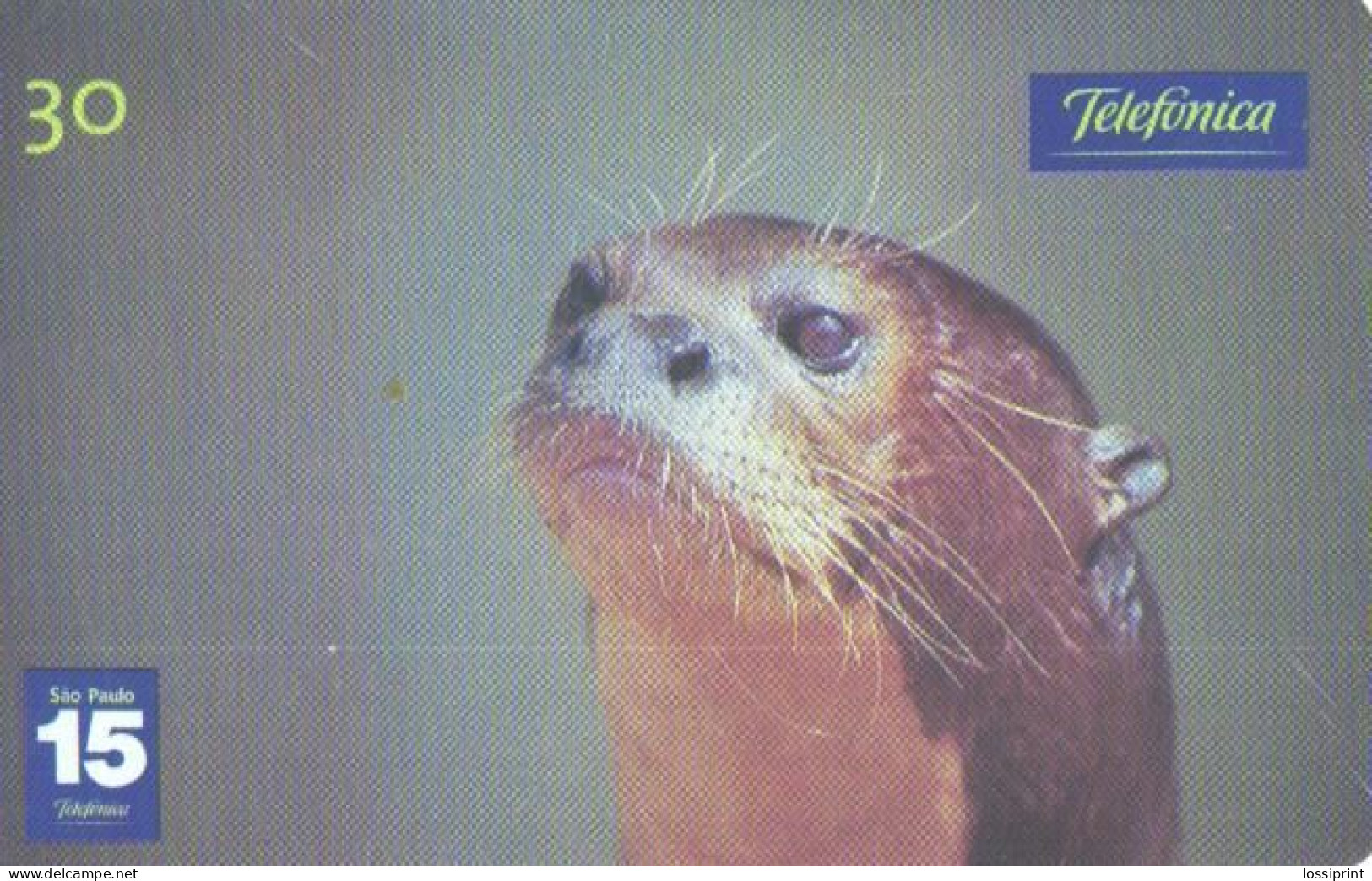 Brazil:Brasil:Used Phonecard, Telefonica, 30 Units, Otter, 2001 - Brasilien