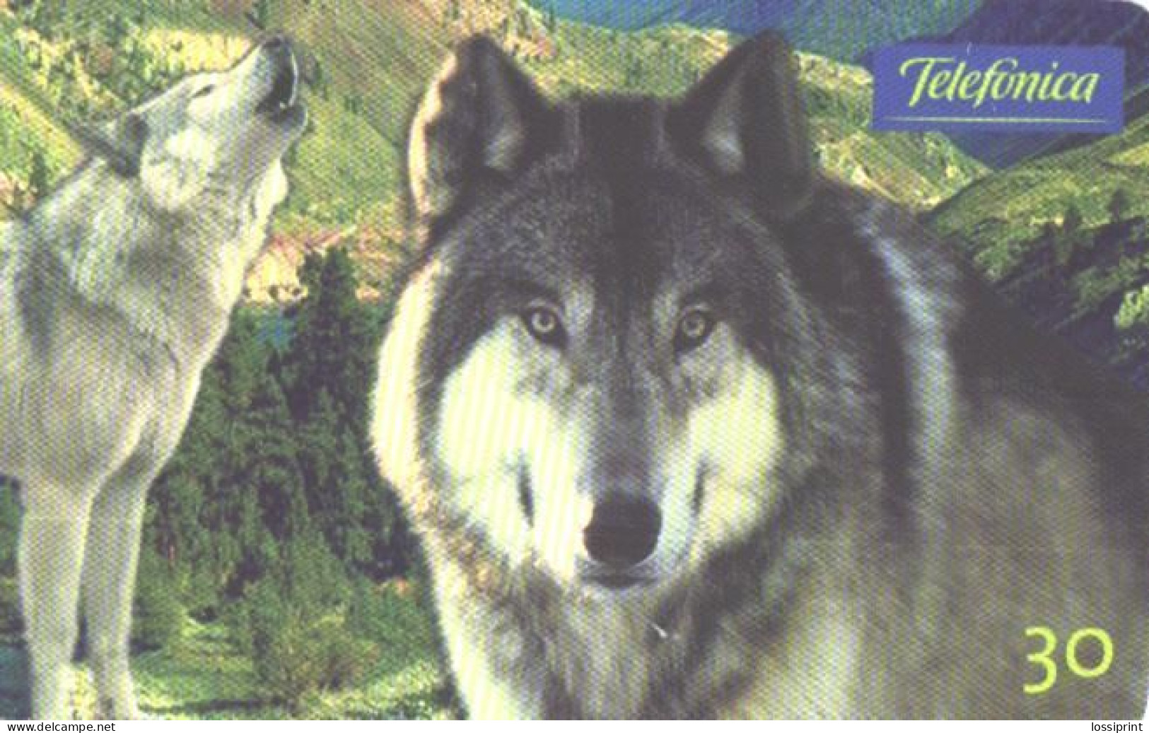 Brazil:Brasil:Used Phonecard, Telefonica, 30 Units, Wolf, 2000 - Brasilien