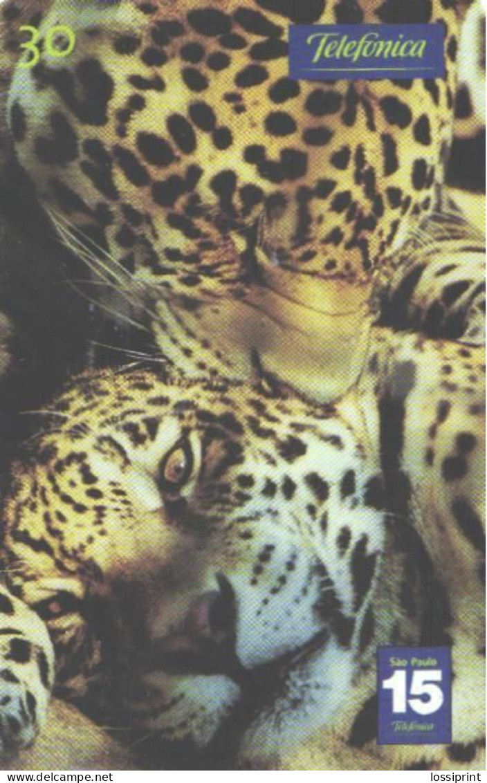 Brazil:Brasil:Used Phonecard, Telefonica, 30 Units, Leopard, 2001 - Brasilien