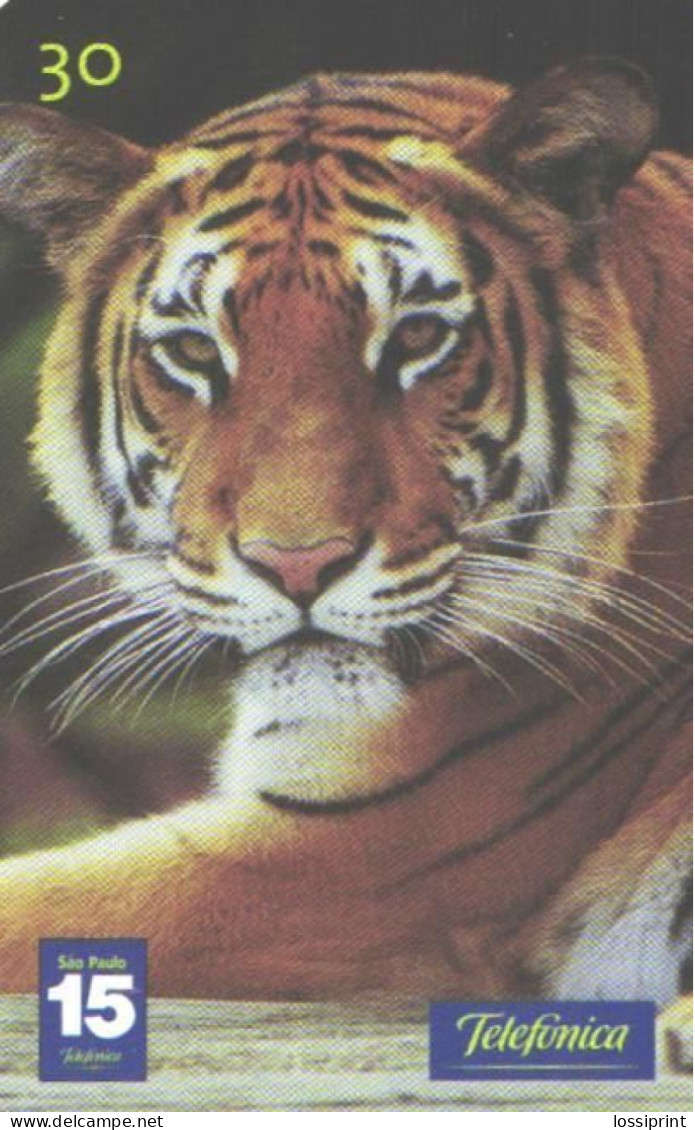 Brazil:Brasil:Used Phonecard, Telefonica, 30 Units, Tiger, 2001 - Brasilien