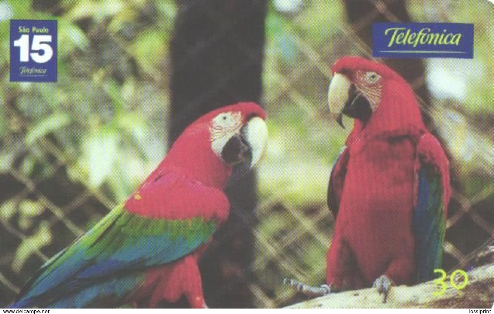 Brazil:Brasil:Used Phonecard, Telefonica, 30 Units, Parrots, 2001 - Brasilien