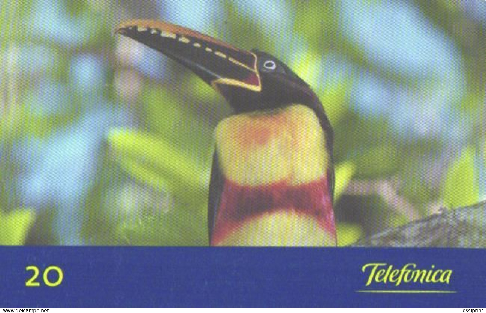 Brazil:Brasil:Used Phonecard, Telefonica, 20 Units, Bird, Pteroglossus Castanotis, 1999 - Brasilien