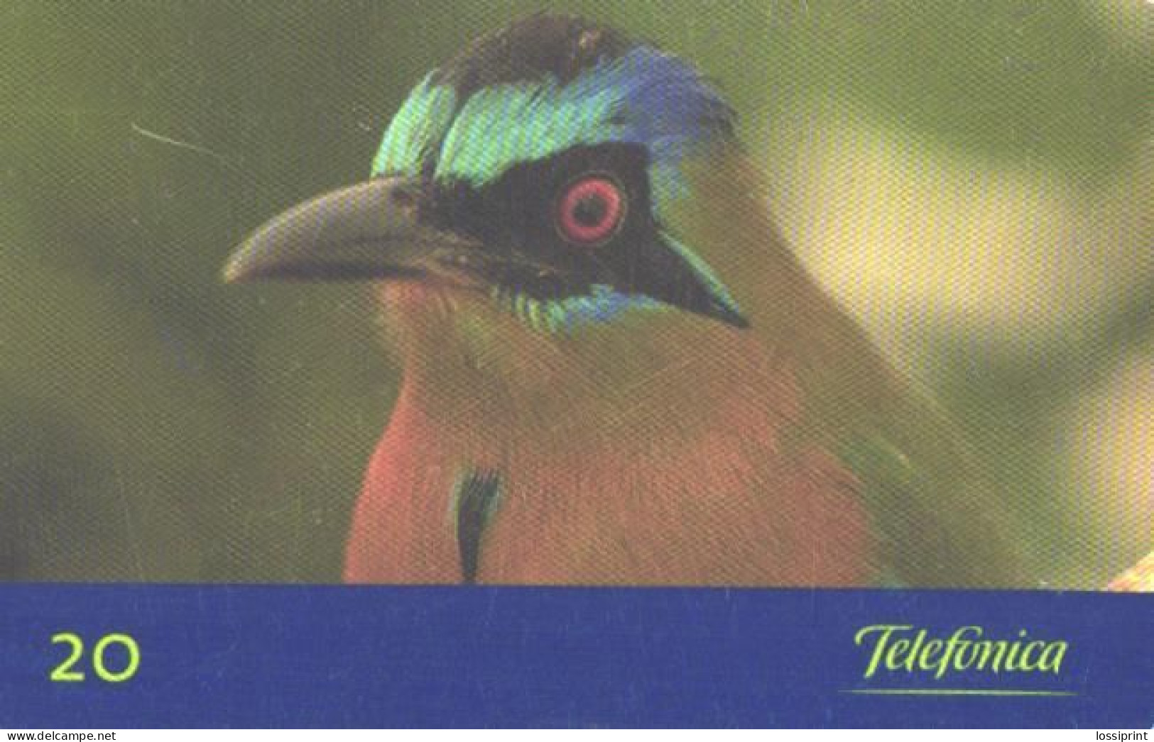 Brazil:Brasil:Used Phonecard, Telefonica, 20 Units, Bird, Momotus Momota, 1999 - Brasilien