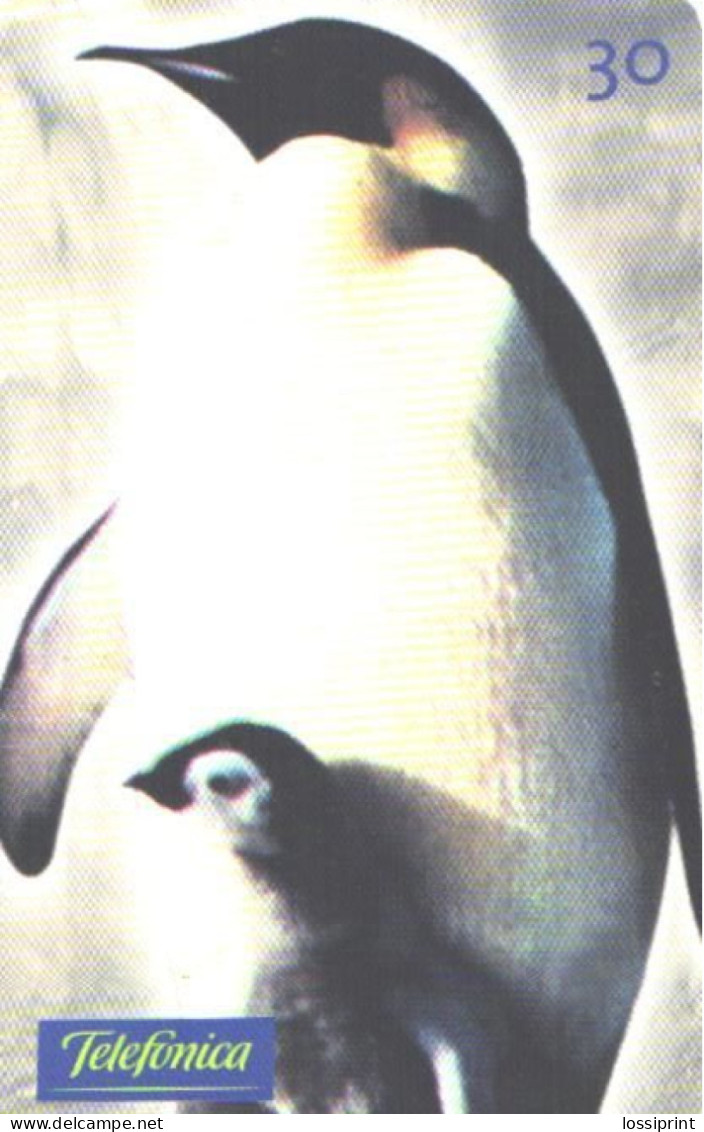 Brazil:Brasil:Used Phonecard, Telefonica, 30 Units, Penguins, 2000 - Brasilien