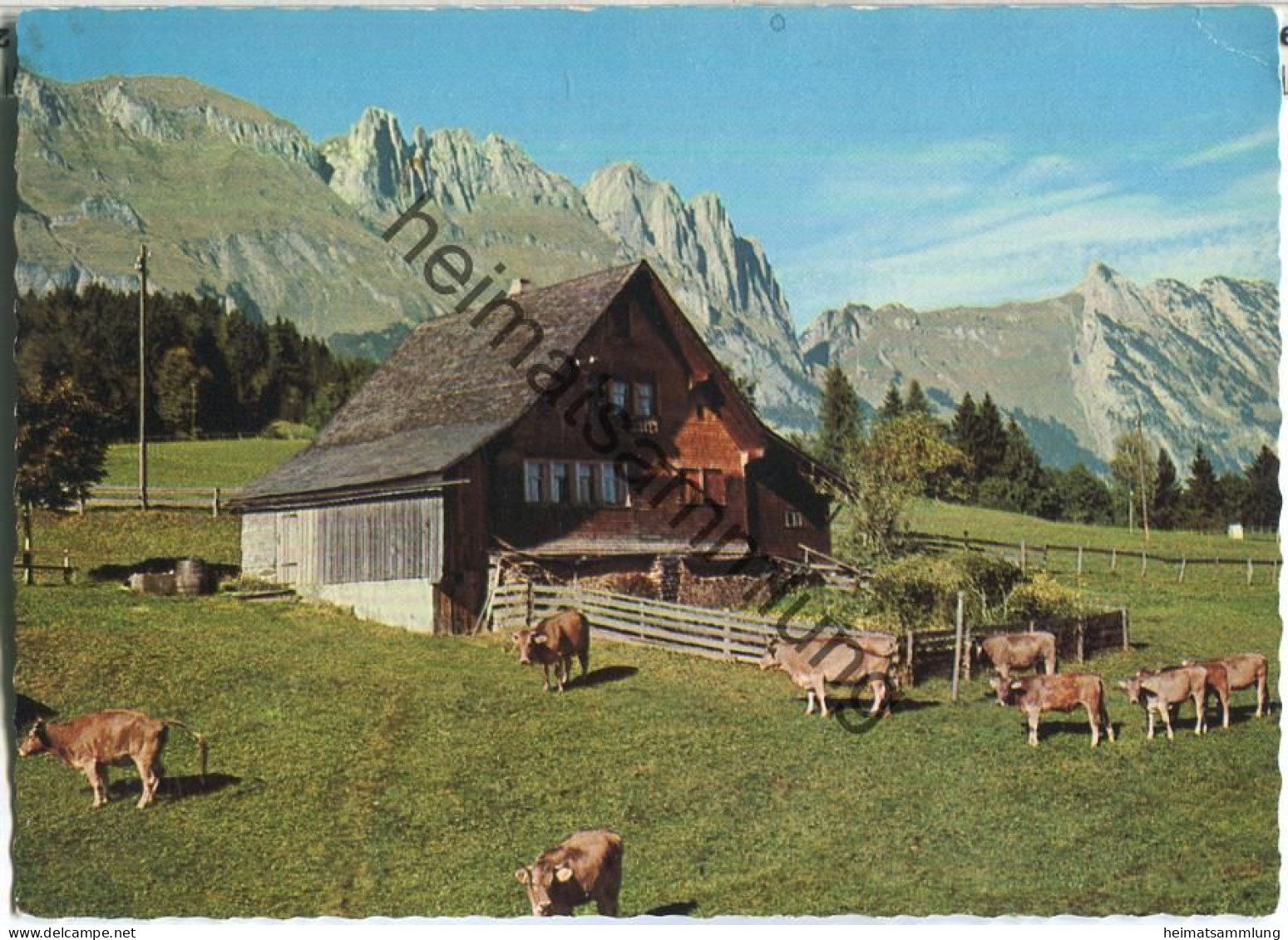 Bergheimet Am Gamserberg Gegen Den Alpstein - Verlag A. Eggenberger Walzenhausen - Gams