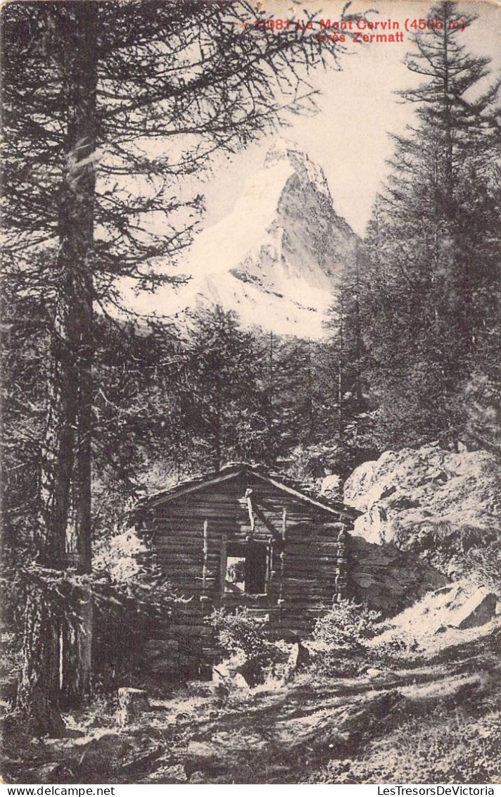 SUISSE - Le Mont Carvin - Carte Postale Ancienne - Mon