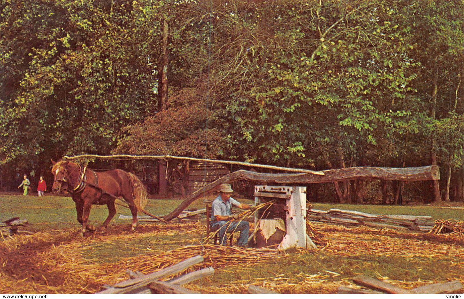 23-2243  : SORGHUM MILL. PIONNER FARMSTEAD. HORSE.  CHEVAL - Smokey Mountains