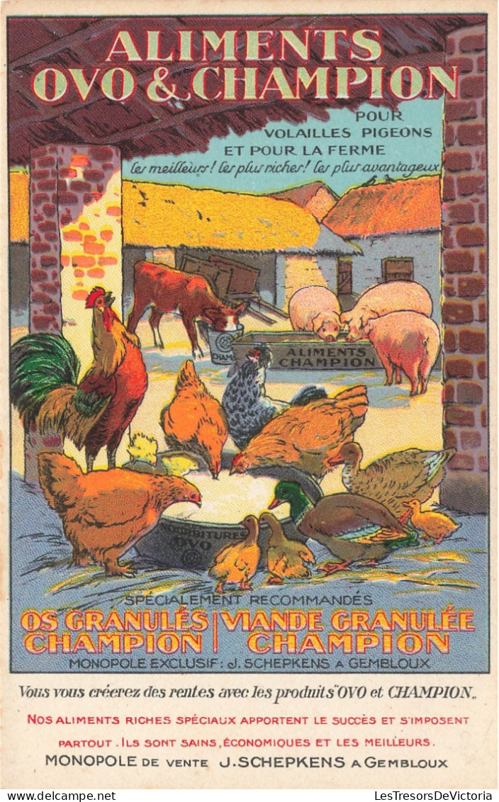 Publicité - Aliments Ovo Et Champion - Pour Volailles Pigeons Et Pour La Ferme - Carte Postale Ancienne - Advertising