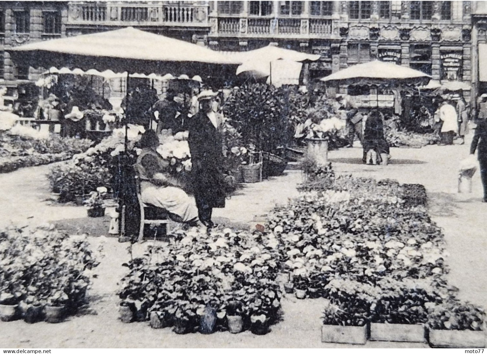 BELGIQUE - Bruxelles - Grand'place Marché Aux Fleurs - CPA Carte Postale Ancienne - Vers 1960 - Places, Squares