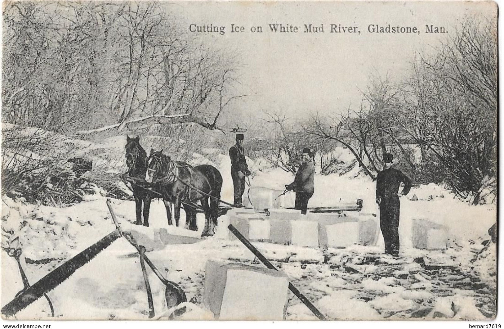 Canada   -  Cutting Ice On White  Mud River , Gladstone  , Man - Altri & Non Classificati