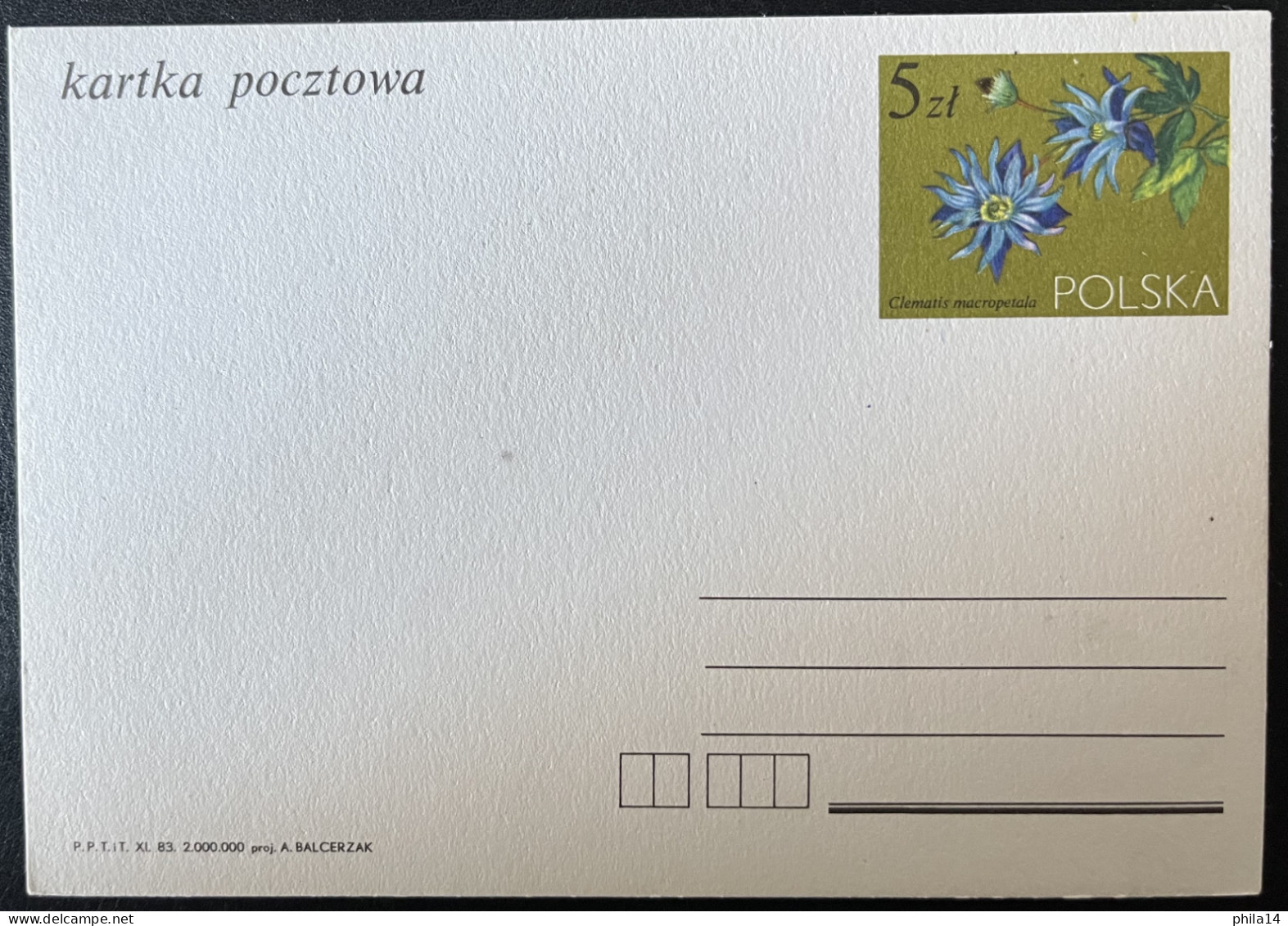 SP CARTE / POLOGNE POLSKA / 1993 FLEUR FLOWER - Storia Postale