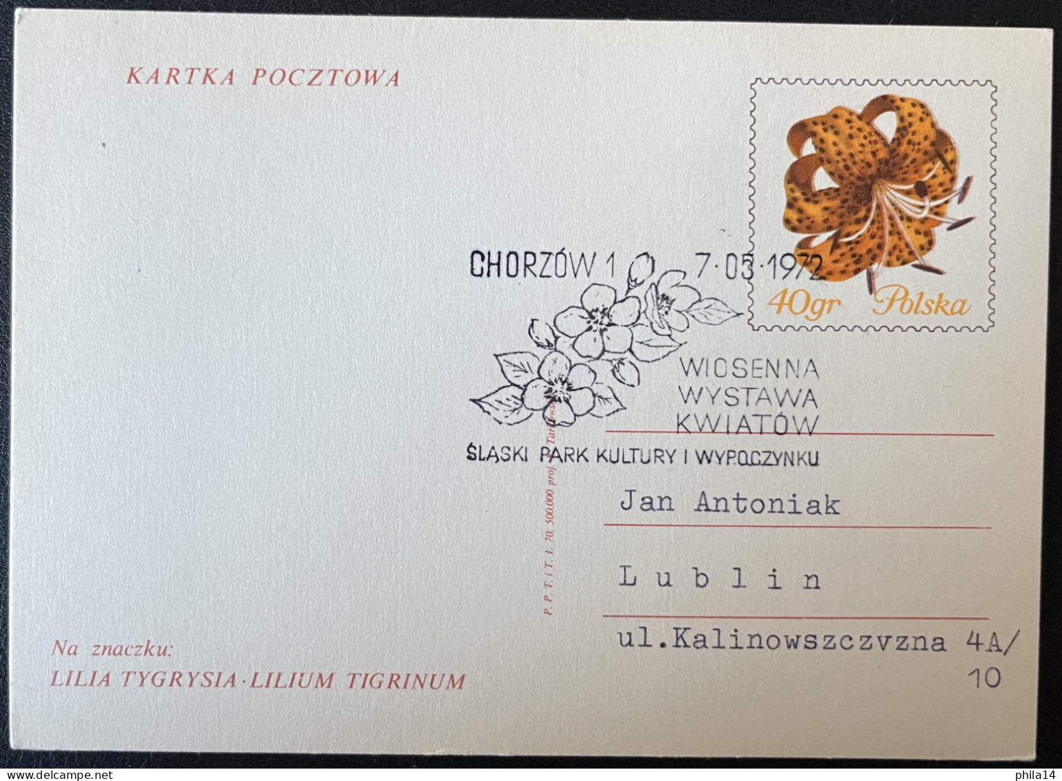 SP CARTE / POLOGNE POLSKA / 1972 FLEUR FLOWER / CHORZOW - Briefe U. Dokumente