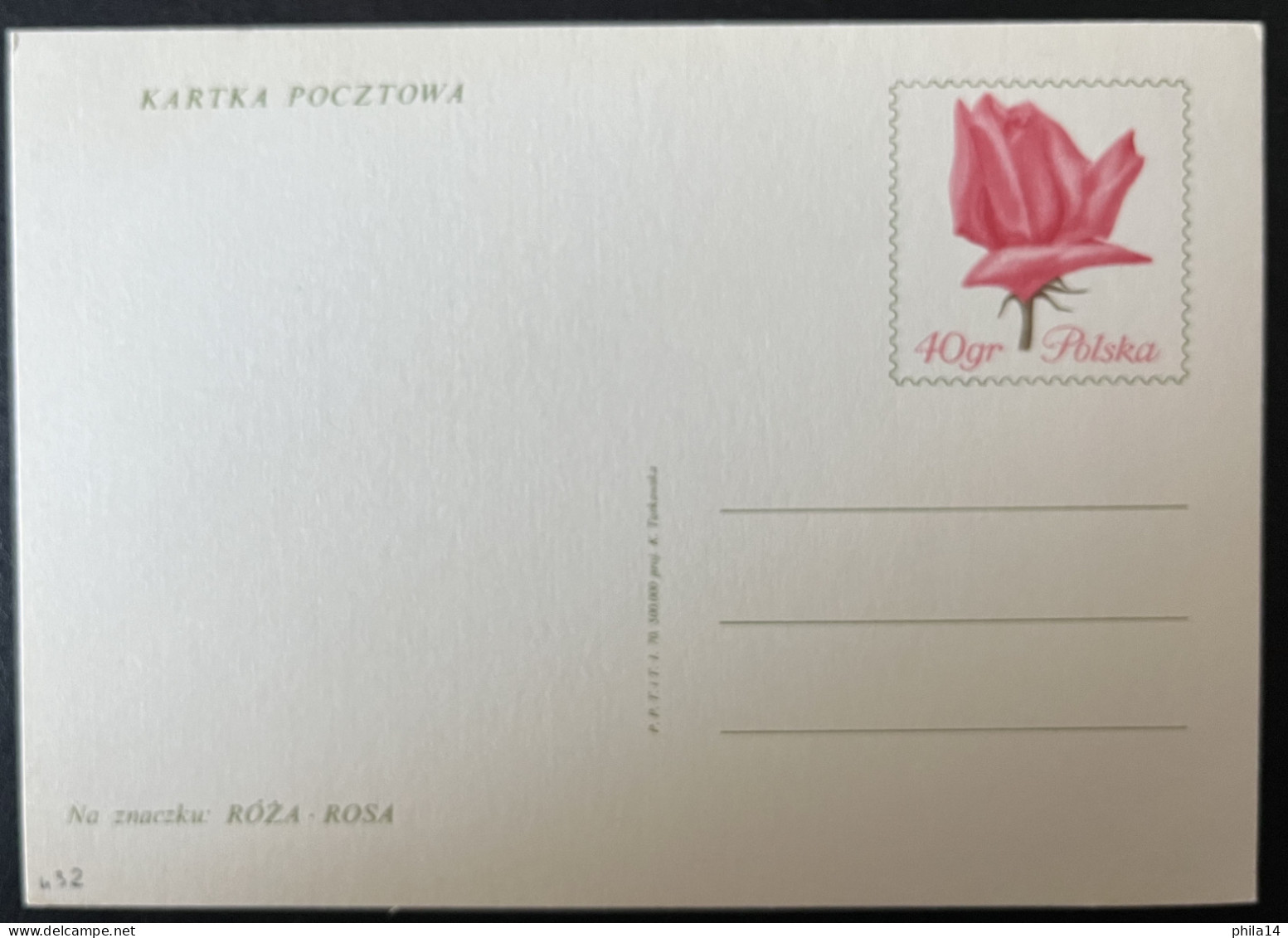 SP CARTE / POLOGNE POLSKA / FLEUR FLOWER ROSE - Briefe U. Dokumente