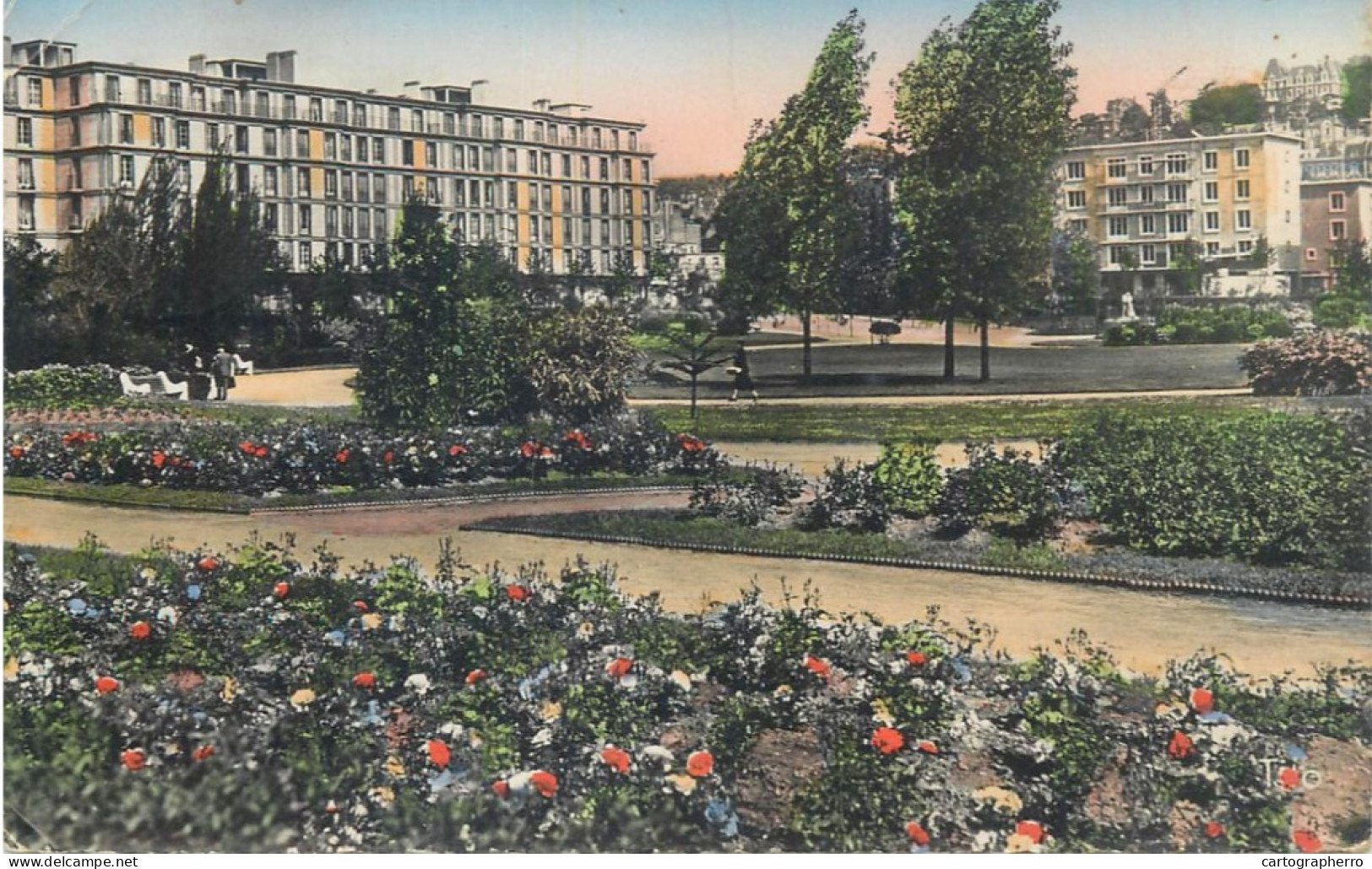 Cpsm France Seine Maritime > Le Havre > Square Saint-Roch 1955 - Saint-Roch (Plein)