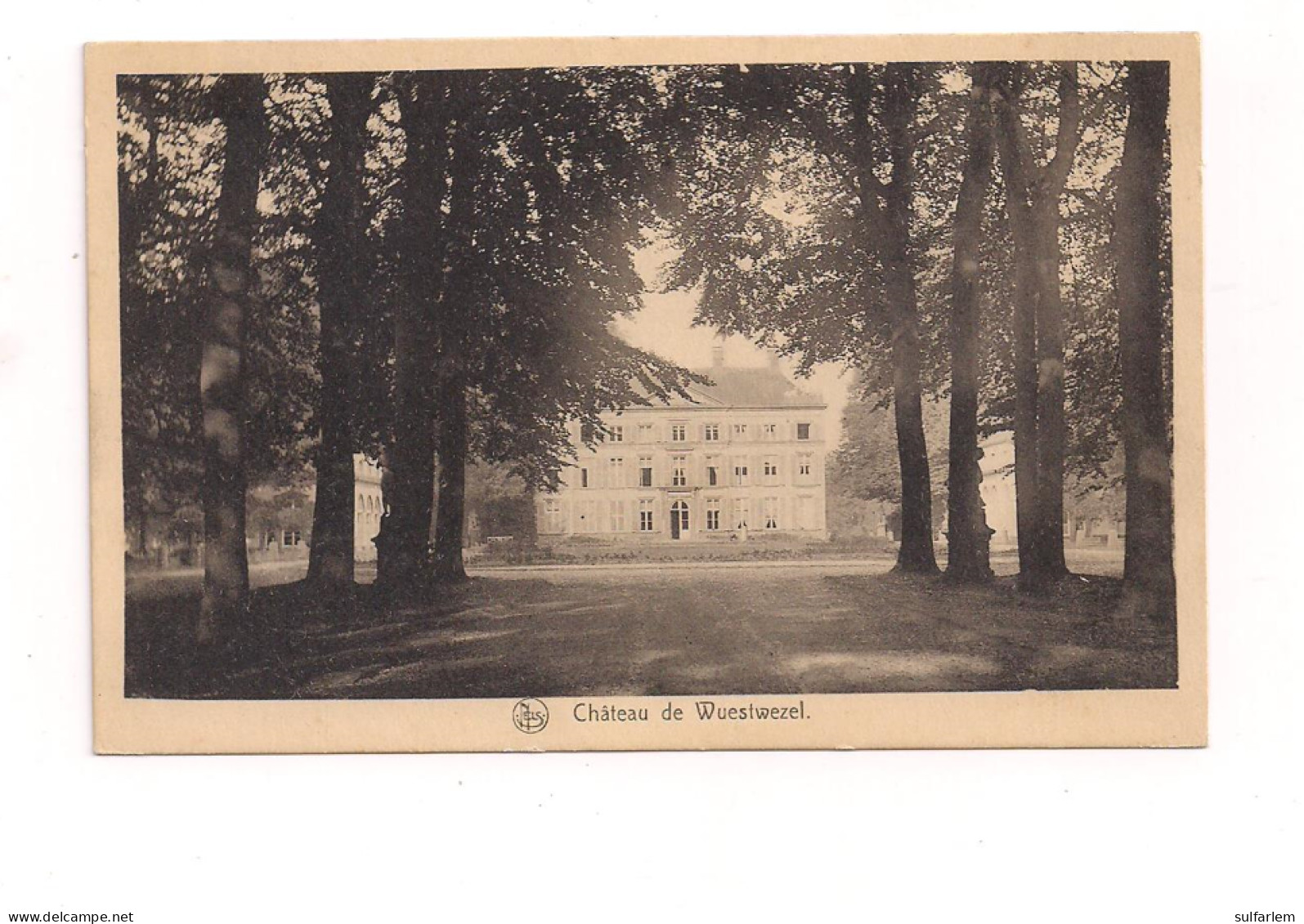 Carte Postale WUESTWEZEL  Le Château. - Wuustwezel