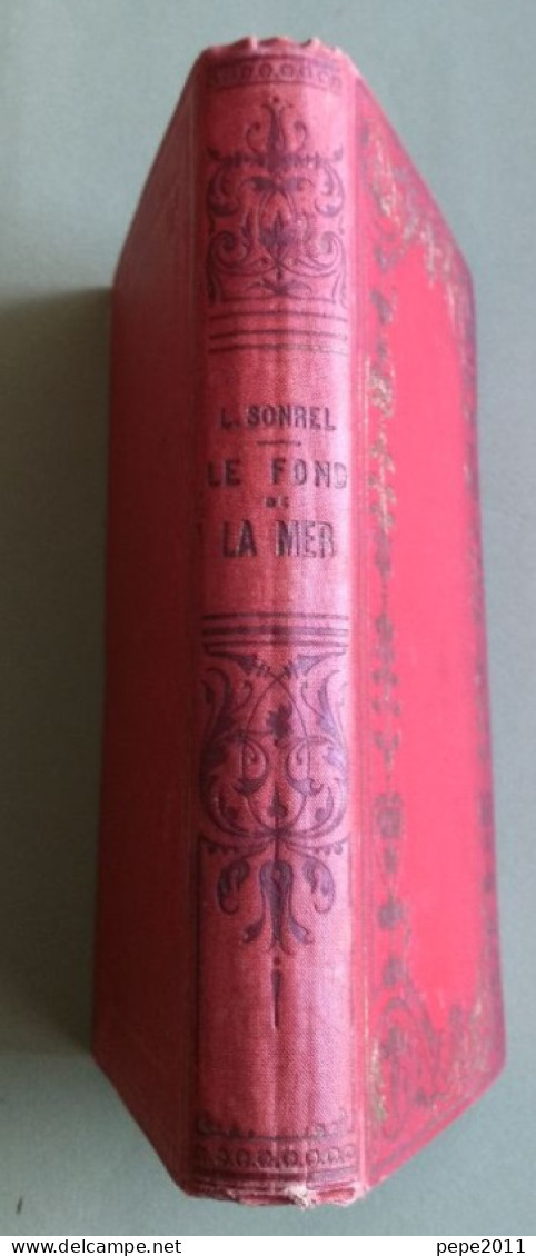 Le Fond De La Mer Par L. SONREL - Bibliothèque Des Merveilles - Gravures Par Yan' DARGENT, FÉRAT Et MESNEL - 1886 - Jardinería